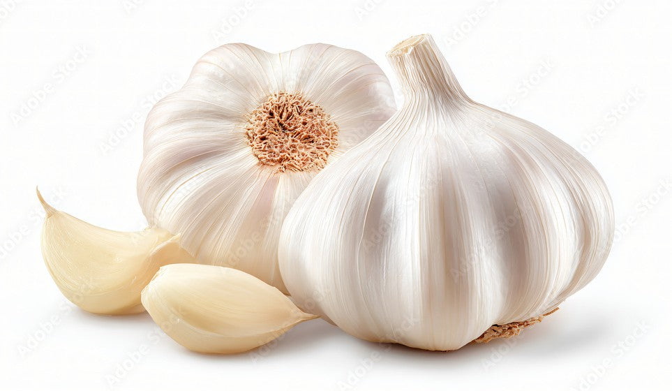 Garlic (Lahsun)