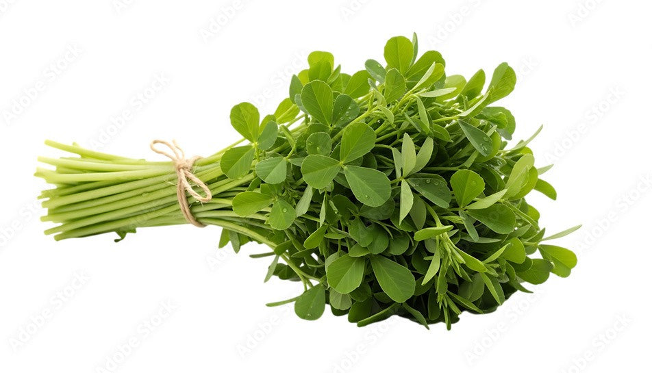 Fenugreek Leaves (Methi)