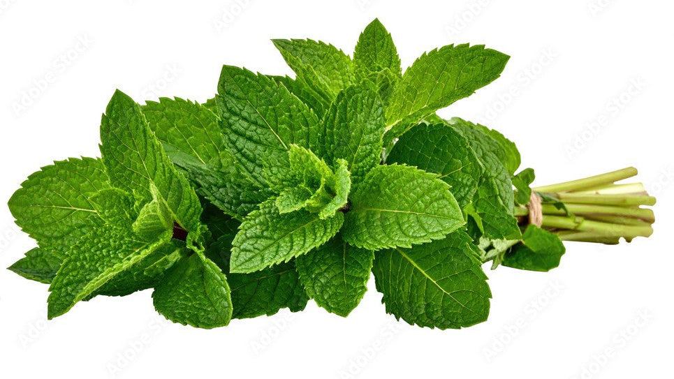Mint Leaves (Pudina)