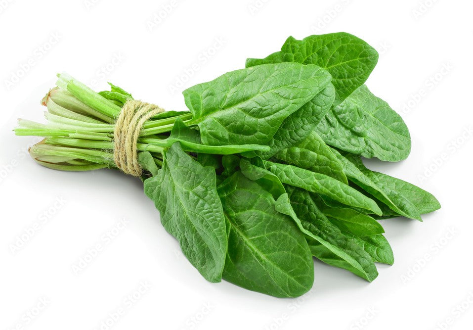 Spinach (Palak )